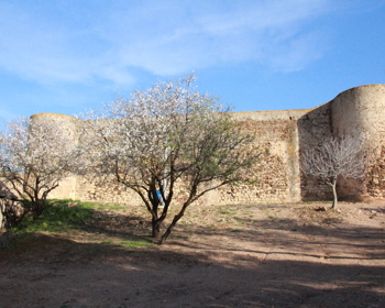 CASTELO DE CASTRO MARIM